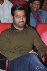 Temper Movie Audio Launch